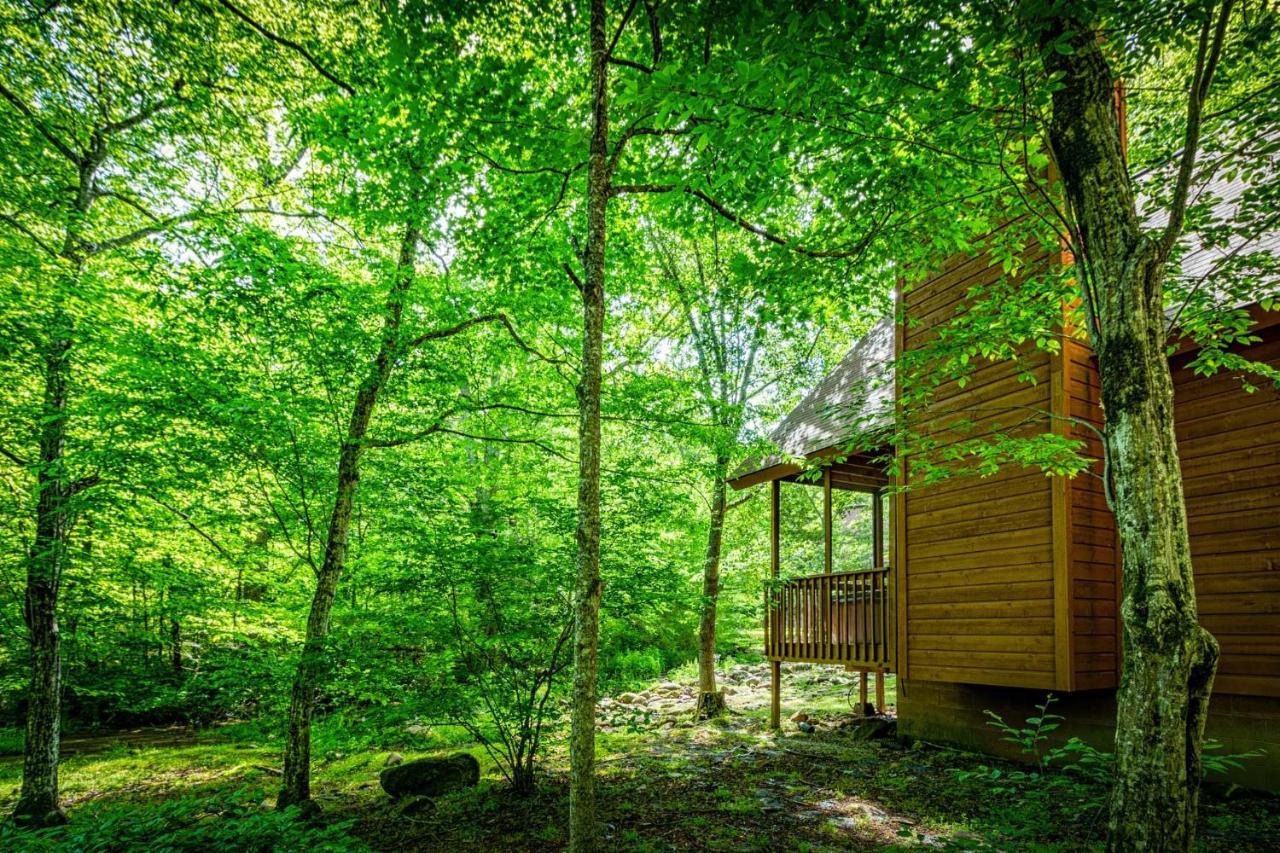 Villa Bear Footin' On The Creek Gatlinburg Exterior foto